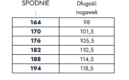 Mundur wyjściowy męski OSP - obrazek 8